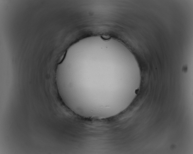 X0000101111153200807171930