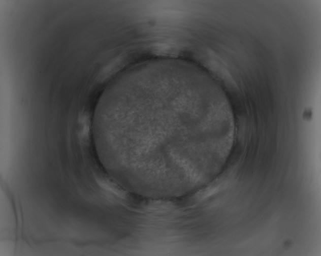 X0000101111154200807171930