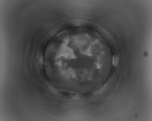 X0000101111155200807171930