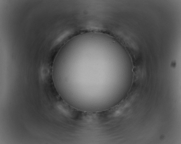 X0000101111157200807171929