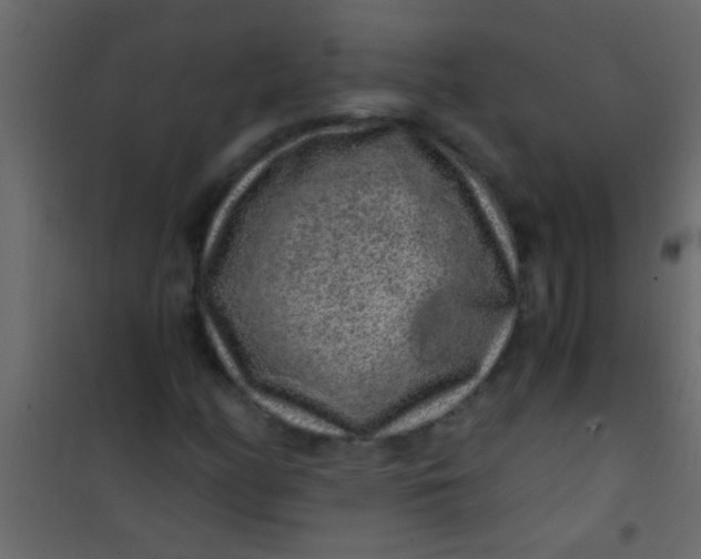 X0000101111158200807171929