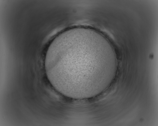 X0000101111159200807171929