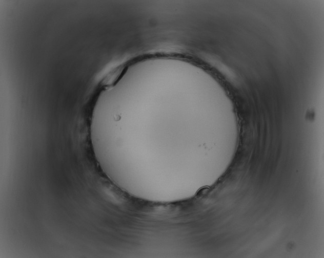 X0000101111160200807171929