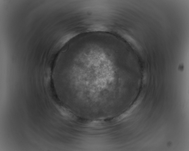 X0000101111161200807171929