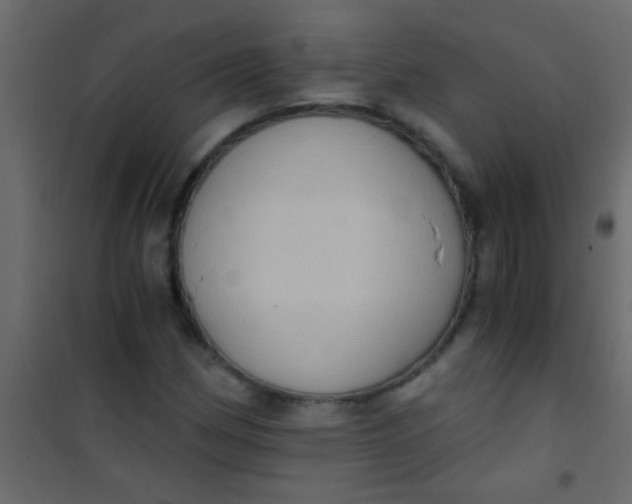 X0000101111162200807171929