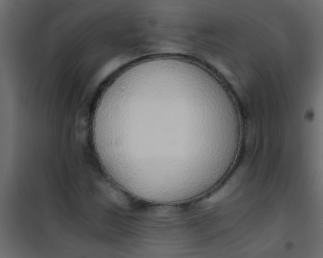 X0000101111163200807171929
