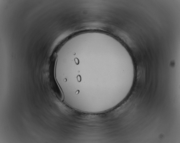 X0000101111164200807171929
