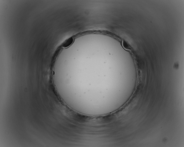 X0000101111165200807171929