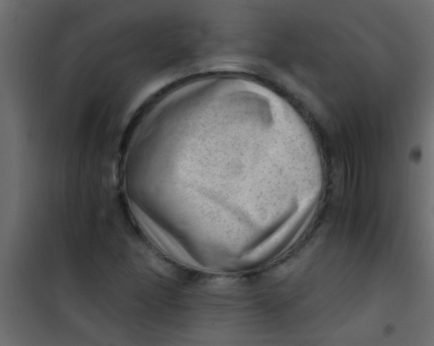X0000101111166200807171929