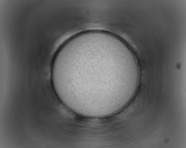 X0000101111167200807171929