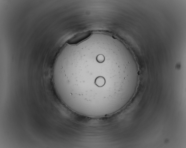 X0000101111169200807171929