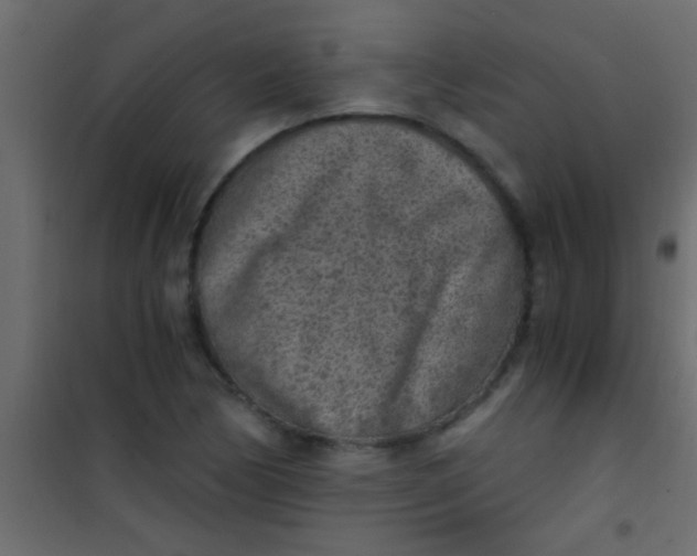 X0000101111170200807171929