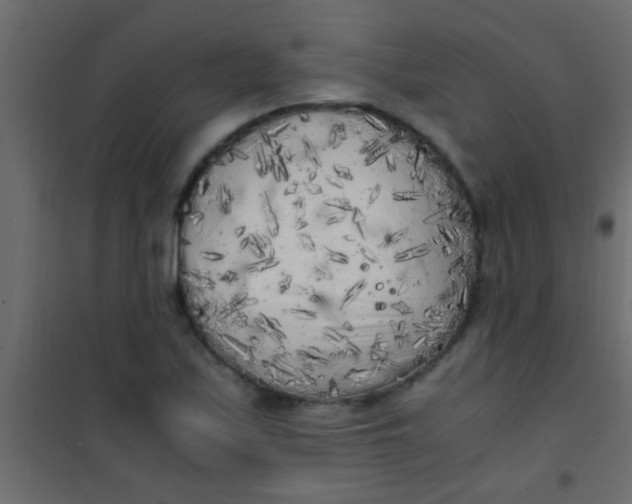 X0000101111171200807171929