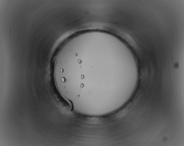 X0000101111172200807171929