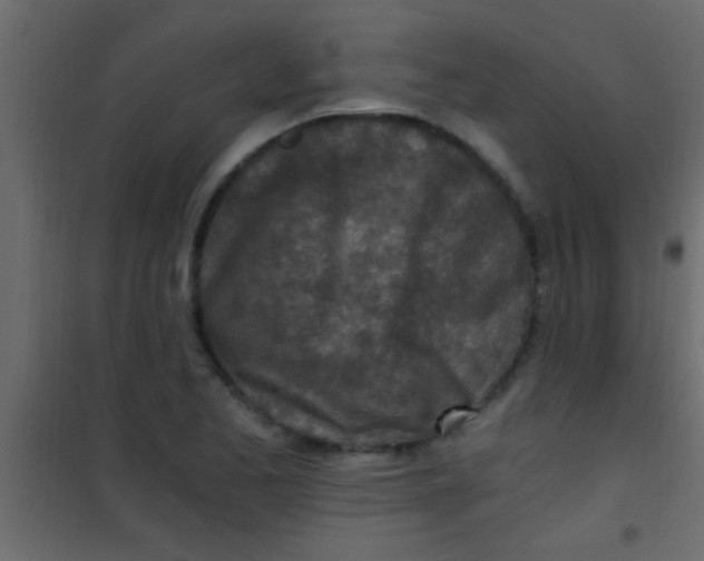 X0000101111173200807171929