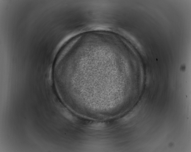 X0000101111174200807171929