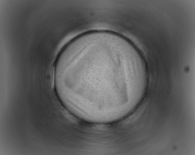 X0000101111175200807171929