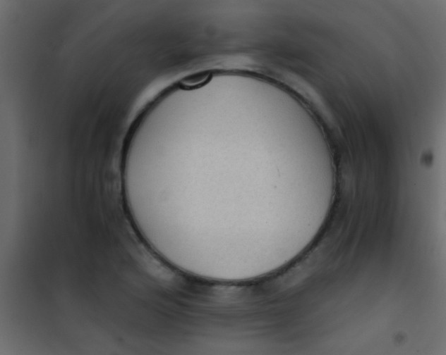 X0000101111176200807171929
