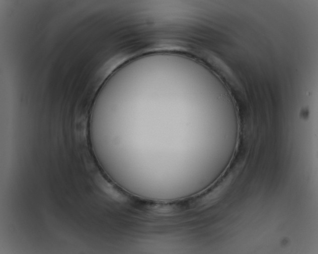 X0000101111177200807171929