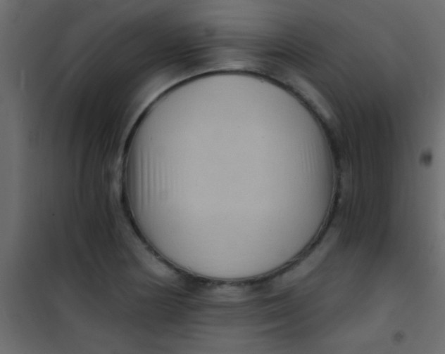 X0000101111178200807171929