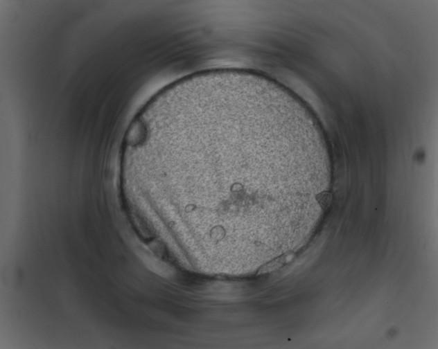 X0000101111179200807171929