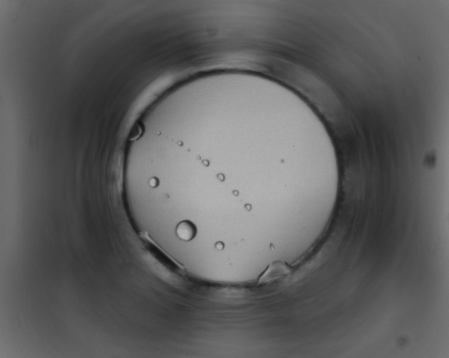 X0000101111180200807171929