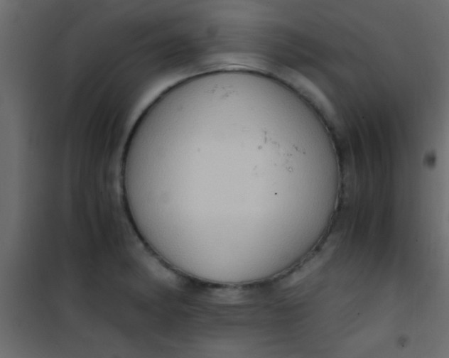 X0000101111182200807171929