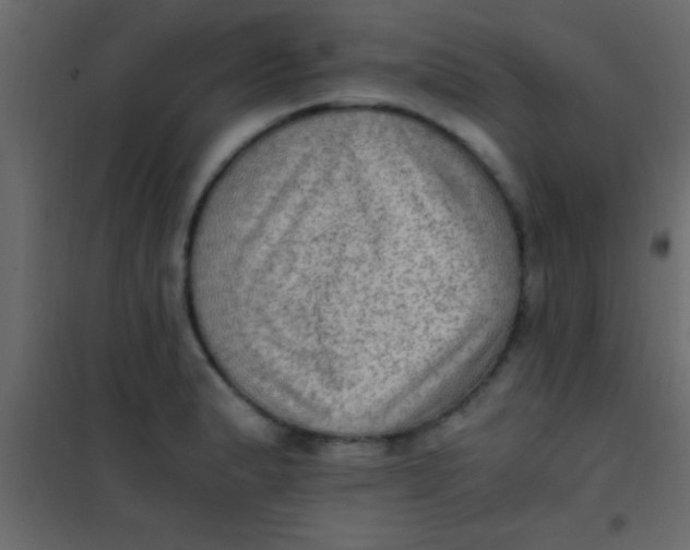 X0000101111183200807171929