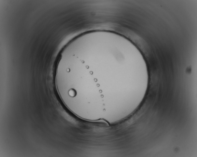 X0000101111184200807171929