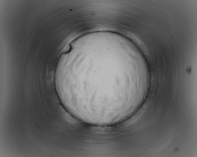 X0000101111185200807171929