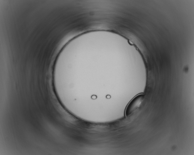 X0000101111187200807171929