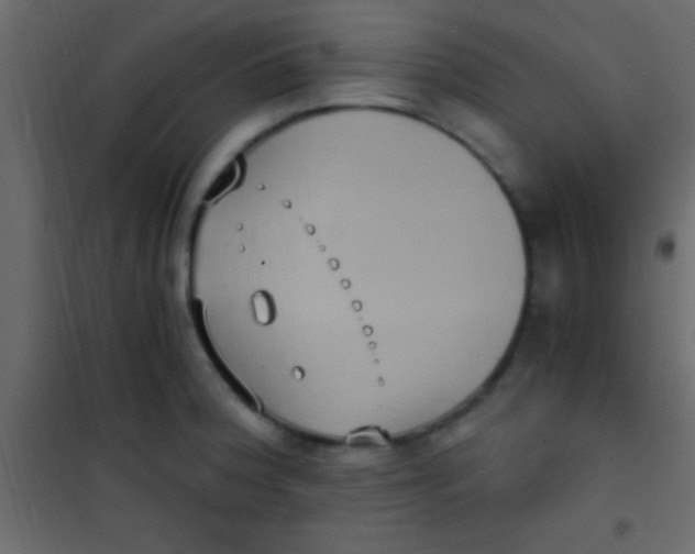 X0000101111188200807171929