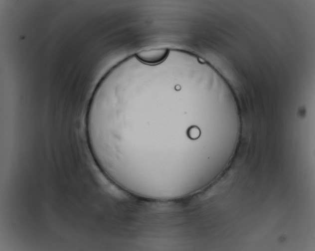 X0000101111189200807171929