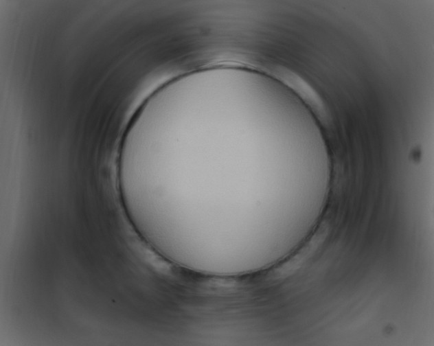 X0000101111190200807171929