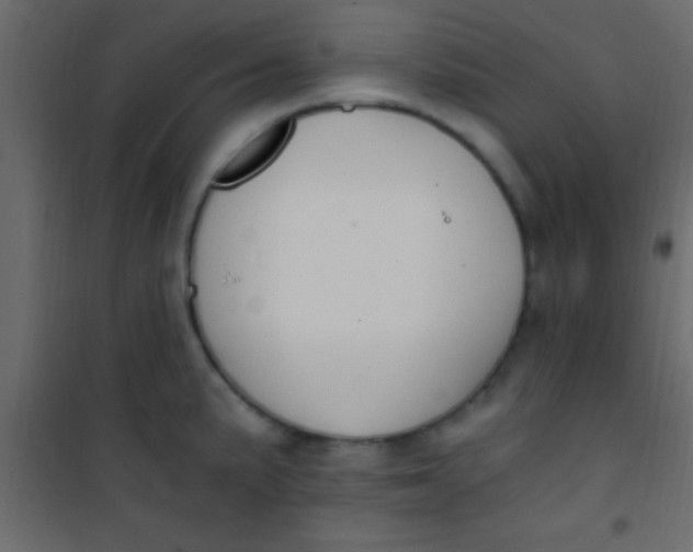 X0000101111191200807171929