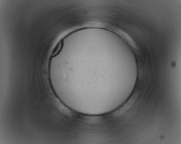 X0000101111192200807171929