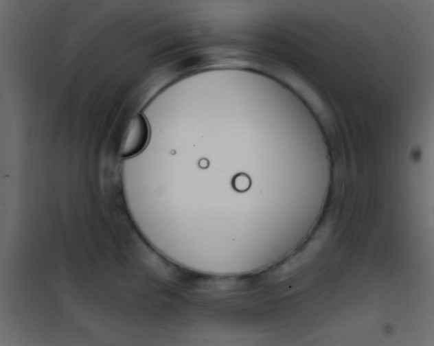 X0000101111193200807171929
