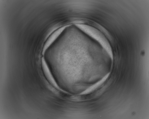 X0000101111194200807171929