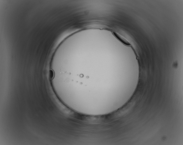X0000101111195200807171929