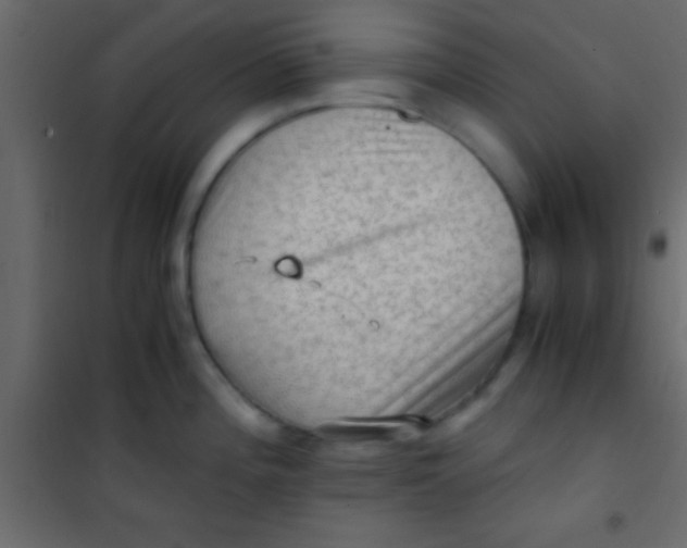 X0000101111196200807171929