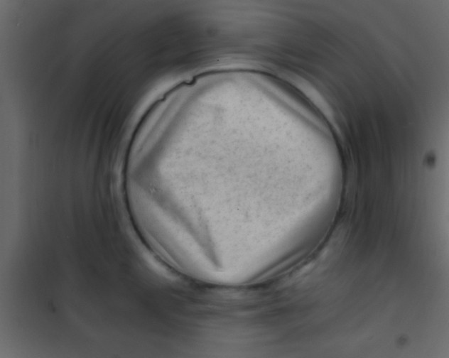 X0000101111197200807171929