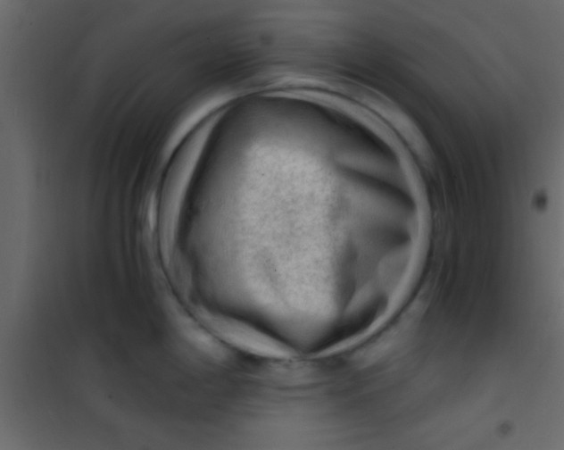 X0000101111198200807171929