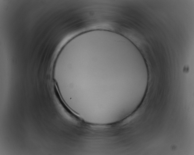X0000101111200200807171929