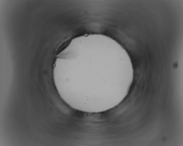 X0000101111201200807171928