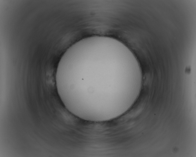X0000101111202200807171928