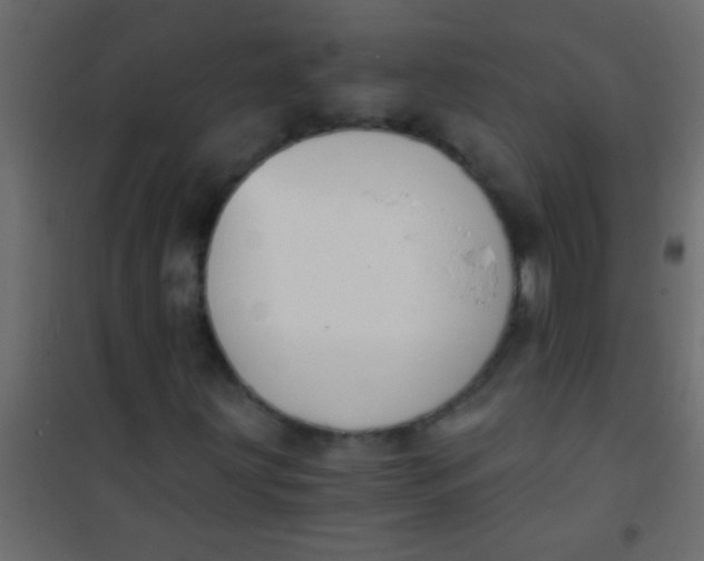 X0000101111203200807171928