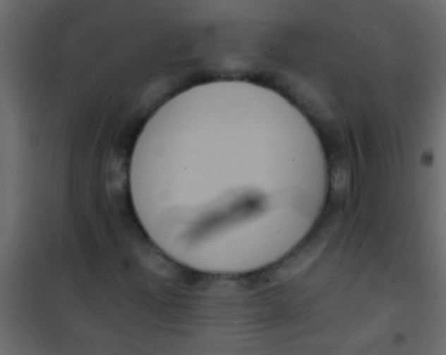 X0000101111204200807171928