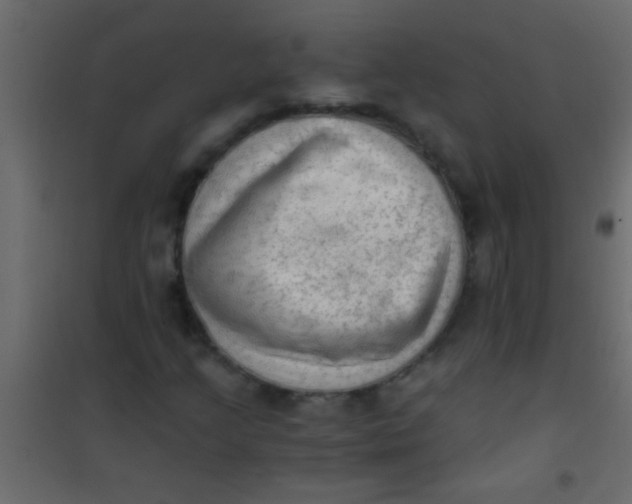 X0000101111205200807171928