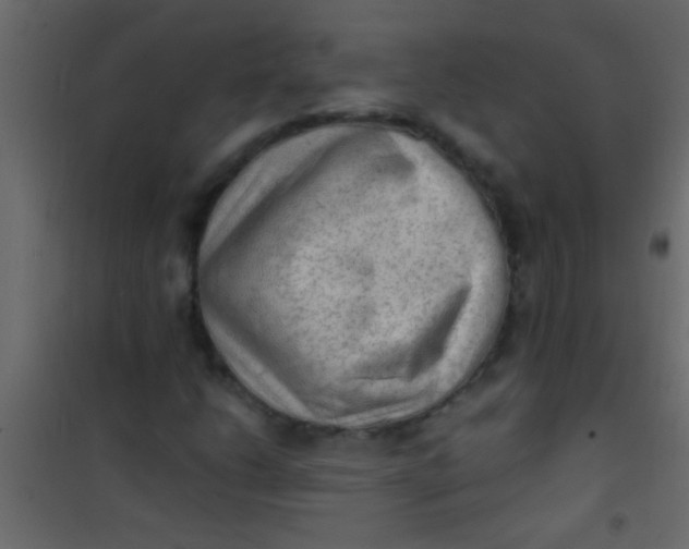 X0000101111206200807171928