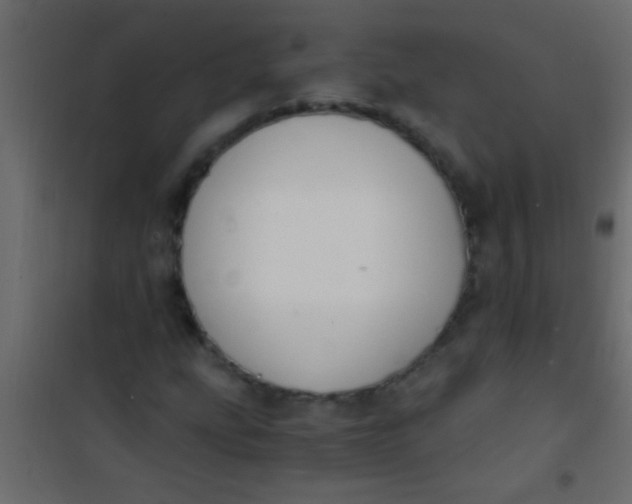 X0000101111207200807171928